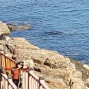 푸른언덕민박 이미지