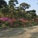 늘푸른공간 이미지