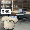 부평대로점 | 부평 평리단길 카페 뮤게트 ⎹ 블루리본 커피 내돈내산 후기