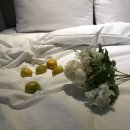 씨유  여수소라점 | [전남 여수] 디아크리조트 Bosco 숙박 후기
