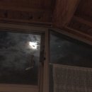 스테이-오롯 이미지