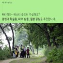 버스정류장 07-484 | 여름 휴가철 특집 _ 새소리 들으러 가실래요? 강원대 학술림, 파주 삼릉, 월평 공원을 추천합니다...