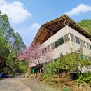 단양펜션구구산장