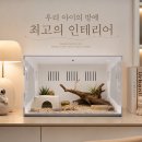 벌써부터 문의 폭발!! 클리어뷰 레게,펫테일,스네이크 포맥스 신제품 출시되었습니다!!