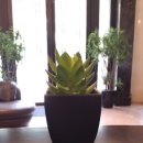 수원-0050 이미지