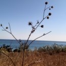 (합)우리렌터카 이미지