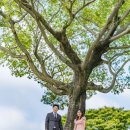 진주 CC | 진주돌스냅 후기 사천 서경타니CC돌잔치 도비치아소규모돌잔치 어떤 작가님을 선택해야 할지 고민...