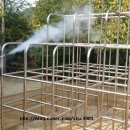 대전대룡초등학교 이미지