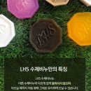 고은LHS