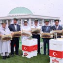 안상규벌꿀 이미지