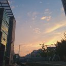 현대시흥출고센터 | 어서 와~ 쿠팡물류 알바는 처음이지? 용인/시흥 신선센터 출고후기