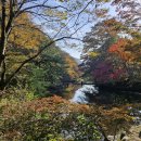 백양사 단풍 지금은? 이미지