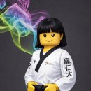 대원 명문 태권도장 이미지