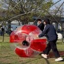 공간정리전문가(수/저녁) 이미지