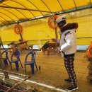 항구낚시터 이미지