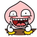 연어홀릭