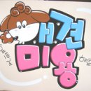 예쁜 애견 미용 네이버블로그
