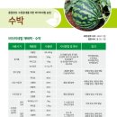 더블윈코리아