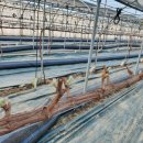 훈이농장 이미지