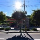 생연주유소 이미지