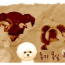 메리로즈