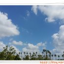 썬플라워의원 이미지