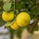 동아대학교대신병원 이미지