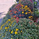 명가한약국 이미지