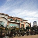 아지랑냉이랑 이미지