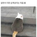지민43 | 오랜만에 여유롭게 쓴 일기