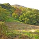 상승농장2 이미지