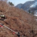 무진장농원 이미지