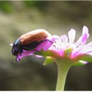 제주 물장오리오름 이미지