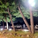 교촌투고 화진점 이미지