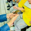 관봉초등학교 이미지