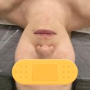유경시트 이미지