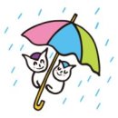 유*옥 - 안양시 만안구 안양로 33 | 유*옥