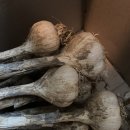 섬강농원 이미지