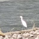 큰승주약국 이미지