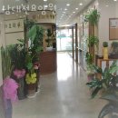 대전석교초교 | 대전요양원 남대전요양원 위치