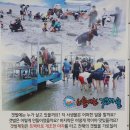 법산어촌계 | 태안! 삼면이 바다인 별빛 캠핑장에서 즐기는 시간이 좋으다!