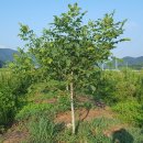 덕곡농장 이미지