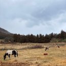 동화민속식당 이미지