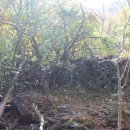 입암유적공원 이미지