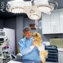 이지훈동물병원 | 수원 구운동 동물병원 이지훈동물병원 진료시간 접근성 이용후기