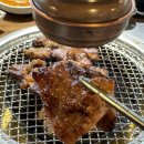 고기탐험대