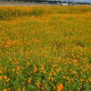 김양우의원 이미지