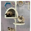 동물보육원 천안지부 이미지