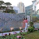 오로라정원 이미지