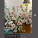 앨리'스 | [플라워디렉팅] 인천 플로비꽃(flo.b) 웨딩촬영 후기 💗